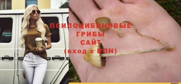 тгк Богородицк
