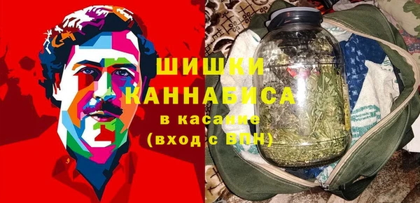 шишки Богданович
