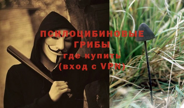 дмт Бронницы